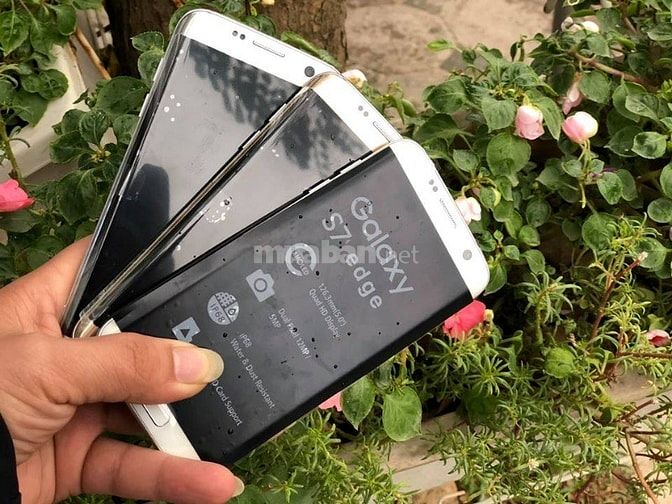 Samsung Galaxy S7 EDGE 2 sim New 100% ko hộp 49054052 Samsung Galaxy S7 EDGE 2 sim New 100% ko hộp