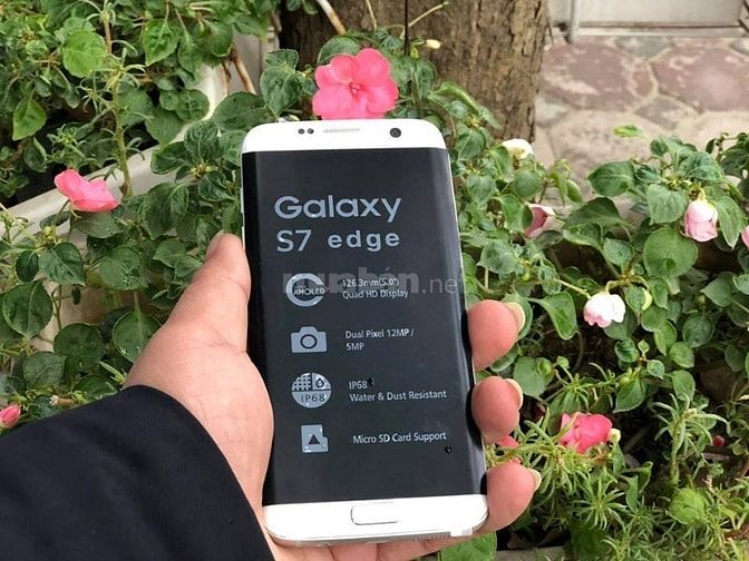 Samsung Galaxy S7 EDGE 2 sim New 100% ko hộp 49054052 Samsung Galaxy S7 EDGE 2 sim New 100% ko hộp