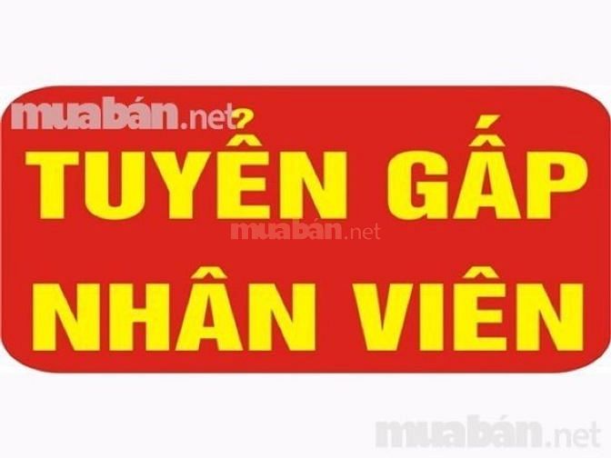 Tuyển gấp nhân viên kế toán bán hàng tại siêu thị mini 49170474 Tuyển gấp nhân viên kế toán bán hàng tại siêu thị mini