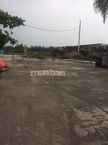Cần bán 25.500m2 đất vườn nằm gần cầu Rạch Tra, xã Đông Thạnh, Hóc Môn 49165358 Cần bán 25.500m2 đất vườn nằm gần cầu Rạch Tra, xã Đông Thạnh, Hóc Môn