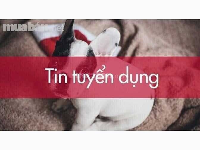 Vị trí bán hàng tại quầy cần tuyển thêm nhân viên 49223618 Vị trí bán hàng tại quầy cần tuyển thêm nhân viên