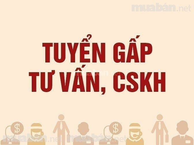 Cần tuyển nam nữ tư vấn, chăm sóc khách hàng 49253468 Cần tuyển nam nữ tư vấn, chăm sóc khách hàng