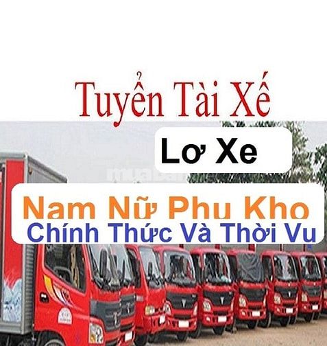 Tiền Giang Cần gấp Nhân Viên Lái Xe Tải Nhẹ Và Lơ xe Phụ Kho Bánh Kẹo 49271681 Tiền Giang Cần gấp Nhân Viên Lái Xe Tải Nhẹ Và Lơ xe Phụ Kho Bánh Kẹo