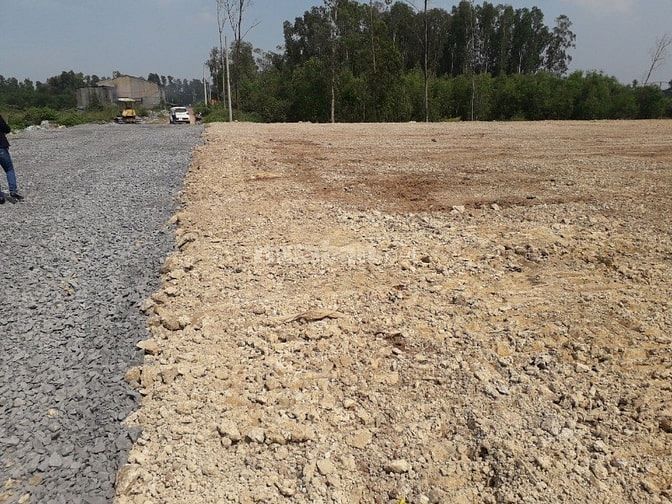 Cần bán đất lúa diện tích: 1.402 tại đường Trần Hải Phụng, Vĩnh Lộc B 49387063 Cần bán đất lúa diện tích: 1.402 tại đường Trần Hải Phụng, Vĩnh Lộc B