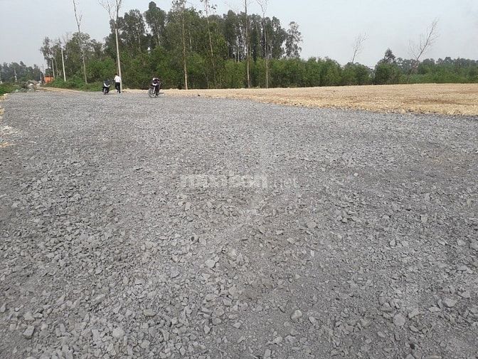 Cần bán đất lúa diện tích: 1.402 tại đường Trần Hải Phụng, Vĩnh Lộc B 49387063 Cần bán đất lúa diện tích: 1.402 tại đường Trần Hải Phụng, Vĩnh Lộc B