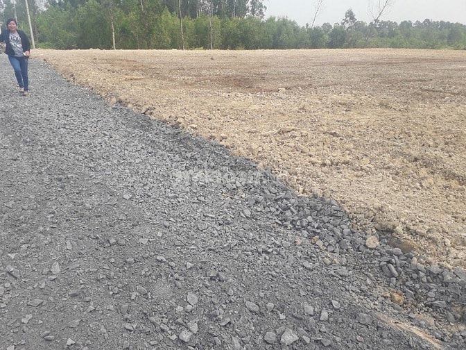 Cần bán đất lúa diện tích: 1.402 tại đường Trần Hải Phụng, Vĩnh Lộc B 49387063 Cần bán đất lúa diện tích: 1.402 tại đường Trần Hải Phụng, Vĩnh Lộc B