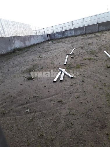 Cần bán đất lúa diện tích: 1.402 tại đường Trần Hải Phụng, Vĩnh Lộc B 49387063 Cần bán đất lúa diện tích: 1.402 tại đường Trần Hải Phụng, Vĩnh Lộc B