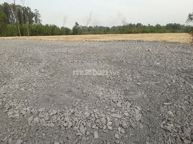 Cần bán đất lúa diện tích: 1.402 tại đường Trần Hải Phụng, Vĩnh Lộc B 49387063 Cần bán đất lúa diện tích: 1.402 tại đường Trần Hải Phụng, Vĩnh Lộc B
