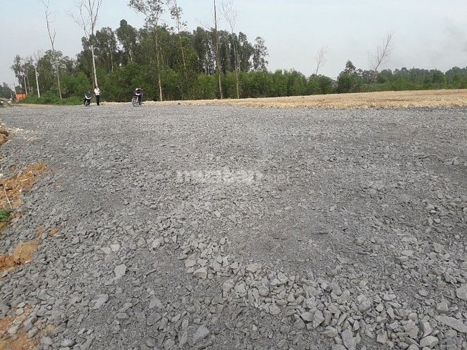 Cần bán đất lúa diện tích: 1.402 tại đường Trần Hải Phụng, Vĩnh Lộc B 49387063 Cần bán đất lúa diện tích: 1.402 tại đường Trần Hải Phụng, Vĩnh Lộc B