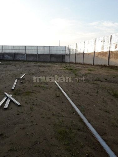 Cần bán đất lúa diện tích: 1.402 tại đường Trần Hải Phụng, Vĩnh Lộc B 49387063 Cần bán đất lúa diện tích: 1.402 tại đường Trần Hải Phụng, Vĩnh Lộc B