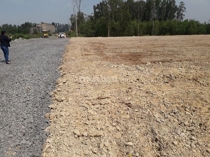 Cần bán đất lúa diện tích: 1.402 tại đường Trần Hải Phụng, Vĩnh Lộc B 49387063 Cần bán đất lúa diện tích: 1.402 tại đường Trần Hải Phụng, Vĩnh Lộc B