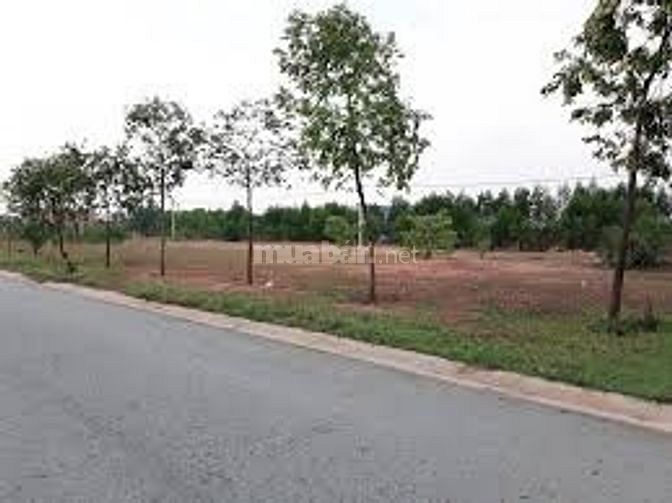 Bán gấp 500m2 đường ĐT756B giá chỉ 400tr , đã có SHR 49409850 Bán gấp 500m2 đường ĐT756B giá chỉ 400tr , đã có SHR