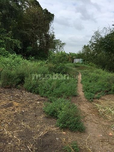 Bán 1,870m2 đất đường Cù Khắc Kiệm, Tân An, Long An 49449800 Bán 1,870m2 đất đường Cù Khắc Kiệm, Tân An, Long An
