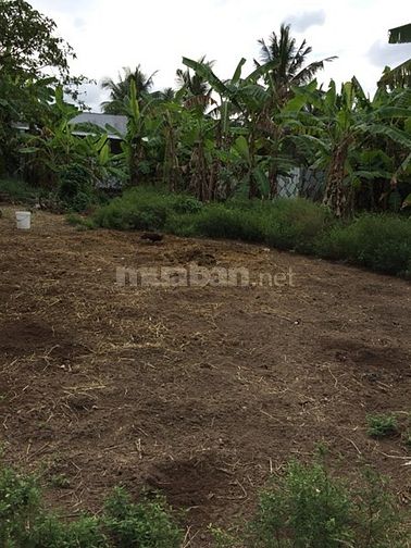 Bán 1,870m2 đất đường Cù Khắc Kiệm, Tân An, Long An 49449800 Bán 1,870m2 đất đường Cù Khắc Kiệm, Tân An, Long An
