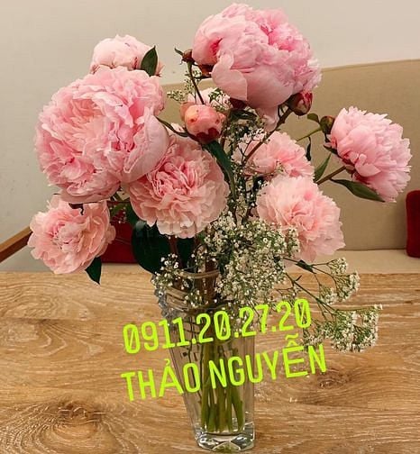 Tòa Nhà Building Võ Thị Sáu , P6, Q3, TP. Hồ Chí Minh 55686923 Tòa Nhà Building Võ Thị Sáu , P6, Q3, TP. Hồ Chí Minh