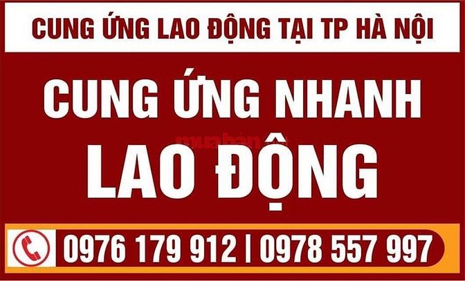 Cung Ứng Lao Động Phổ Thông Uy Tín Chất Lượng 55770640 Cung Ứng Lao Động Phổ Thông Uy Tín Chất Lượng