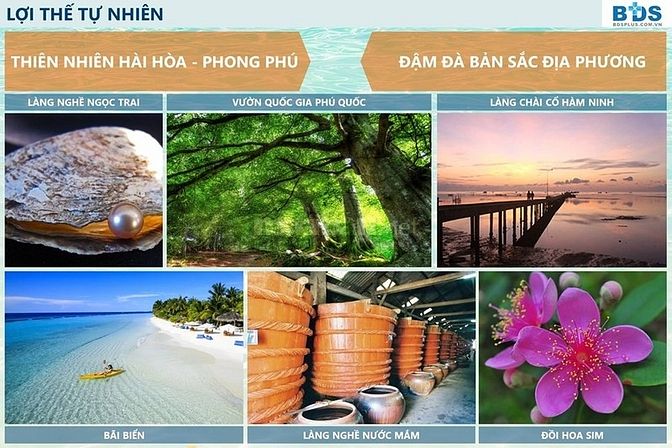 Ra quân chinh chiến cùng RealPlus dự án SimIsland Phú Quốc 55776651 Ra quân chinh chiến cùng RealPlus dự án SimIsland Phú Quốc