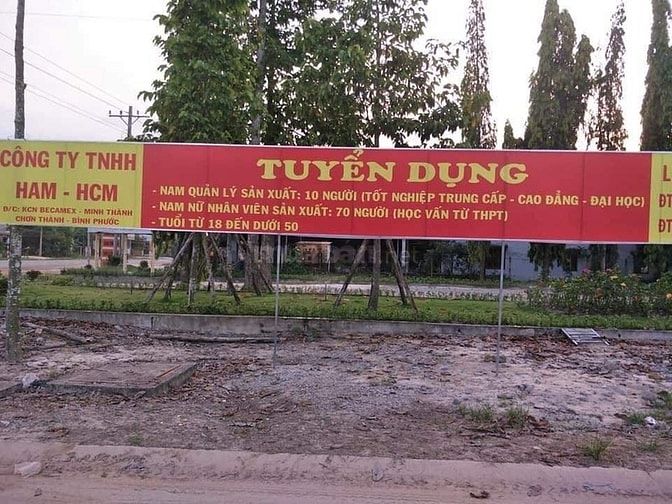 Bán gấp lô đất có sổ hồng riêng, chính chủ, giá rẻ 55796054 Bán gấp lô đất có sổ hồng riêng, chính chủ, giá rẻ