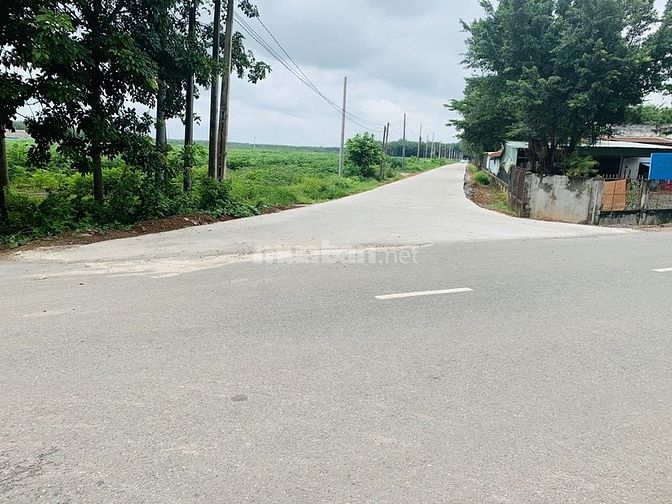 Kinh doanh thua lỗ cần bán gấp lô 1300 m2 giá 590 TR, khu dân đông 55822846 Kinh doanh thua lỗ cần bán gấp lô 1300 m2 giá 590 TR, khu dân đông