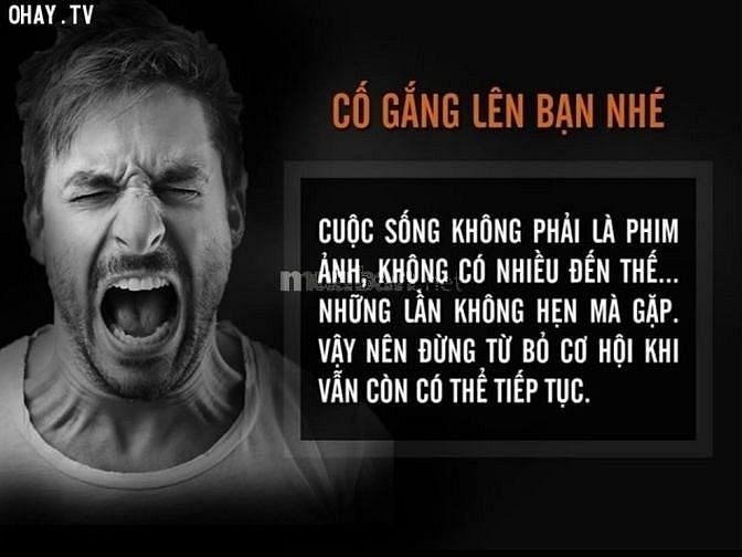 Công việc ổn định, lương cao có hướng phát triển 55959761 Công việc ổn định, lương cao có hướng phát triển