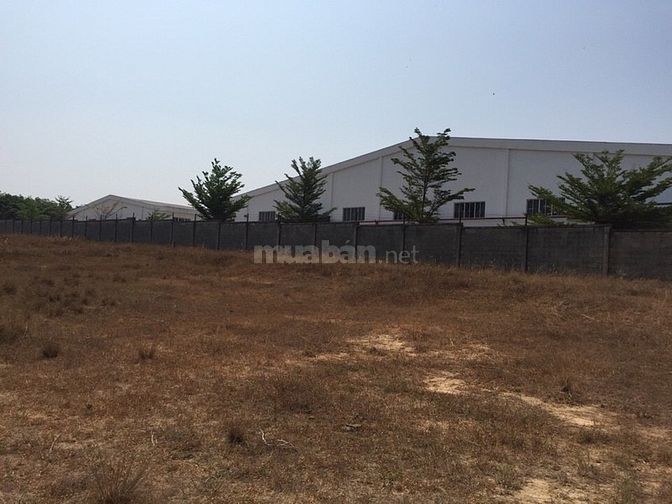 Cần bán đất thổ cư giá rẻ Chơn Thành, BÌnh Phước, 400m2/570tr 55938042 Cần bán đất thổ cư giá rẻ Chơn Thành, BÌnh Phước, 400m2/570tr
