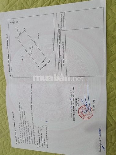 Chính chủ cần Bán gấp khách sạn biển ở Biển Cửa Lò. 56005977 Chính chủ cần Bán gấp khách sạn biển ở Biển Cửa Lò.