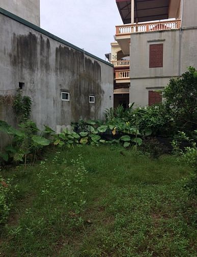 Cần sang miếng đất full thổ Đức Hoà, 90m2, shr 56001091 Cần sang miếng đất full thổ Đức Hoà, 90m2, shr