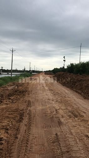 Bán đất Vỉnh Bửu_Tân Hưng _ Long An 56003289 Bán đất Vỉnh Bửu_Tân Hưng _ Long An