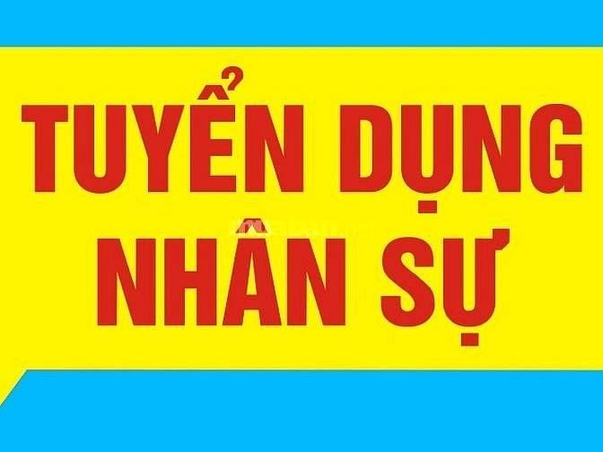 Cần tuyển nhân viên nam nữ làm việc văn phòng 56017476 Cần tuyển nhân viên nam nữ làm việc văn phòng
