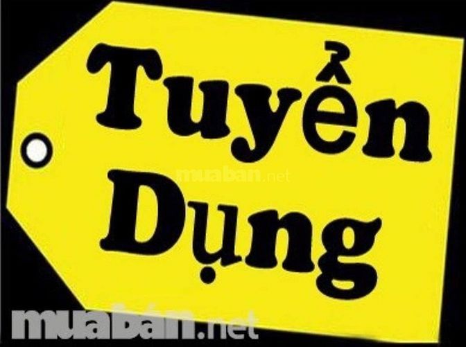 Cần tuyển gấp nhân viên văn phòng, hành chính nhân sự 56017537 Cần tuyển gấp nhân viên văn phòng, hành chính nhân sự