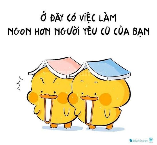 Cần gấp 02 nhân viên kế toán làm việc tại chi nhánh 55872003 Cần gấp 02 nhân viên kế toán làm việc tại chi nhánh