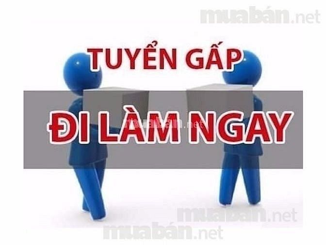 __Tuyển trực tiếp nam nữ thu ngân làm việc tại cửa hàng tiện lợi 56046437 __Tuyển trực tiếp nam nữ thu ngân làm việc tại cửa hàng tiện lợi
