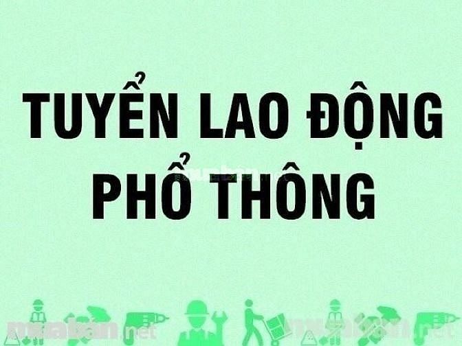 Cty Kiến Tuấn An cần tuyển gấp nam LĐPT.
lương cơ bản: từ 8.5 triệu/th 56022989 Cty Kiến Tuấn An cần tuyển gấp nam LĐPT.
lương cơ bản: từ 8.5 triệu/th