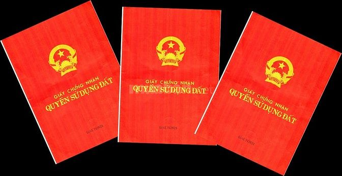 Chuyển nhượng Dự Án Trồng Rừng Mai Châu. Tình Hòa Bình. Diện tích 1500 56029064 Chuyển nhượng Dự Án Trồng Rừng Mai Châu. Tình Hòa Bình. Diện tích 1500