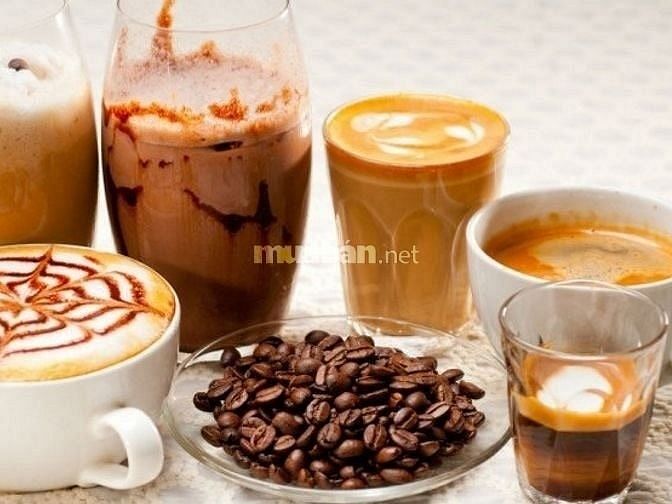 Vài bạn năng động hoạt bát -THÁI ĐỘ TỐ và lịch sự thế chỗ nhé: ☕ Phụ C 56104580 Vài bạn năng động hoạt bát -THÁI ĐỘ TỐ và lịch sự thế chỗ nhé: ☕ Phụ C