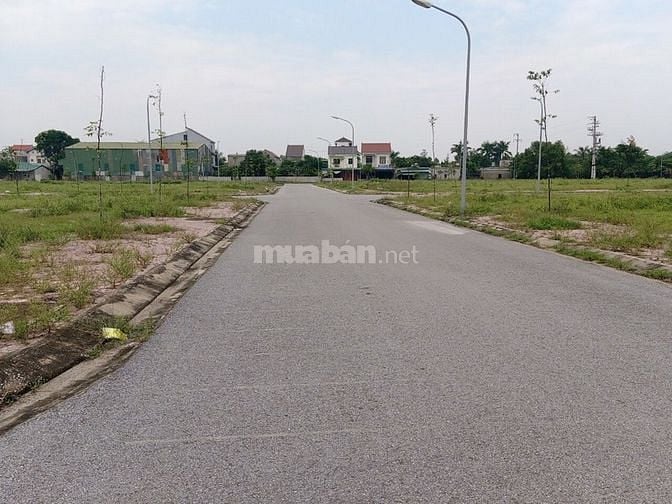 Bán lô đất tại xóm 5 Nghi Phú, đường rộng 12m 56085068 Bán lô đất tại xóm 5 Nghi Phú, đường rộng 12m