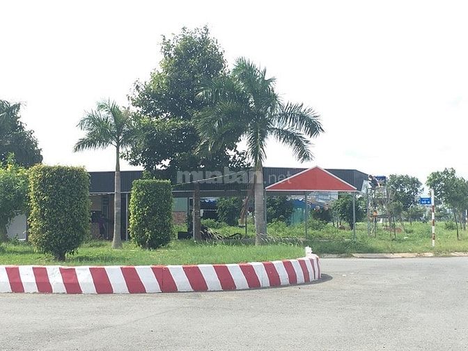 Bán gấp đất ngay D7, TA, LA, 2,1 tỷ/ 132m2 56120122 Bán gấp đất ngay D7, TA, LA, 2,1 tỷ/ 132m2