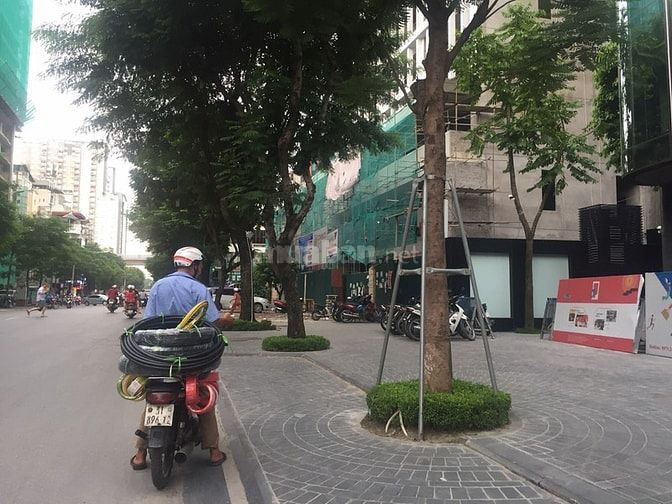 Bán nhà mặt phố Huế, phường Hàng Bài,DT 60,6 m2 mt 6.4m 56112878 Bán nhà mặt phố Huế, phường Hàng Bài,DT 60,6 m2 mt 6.4m