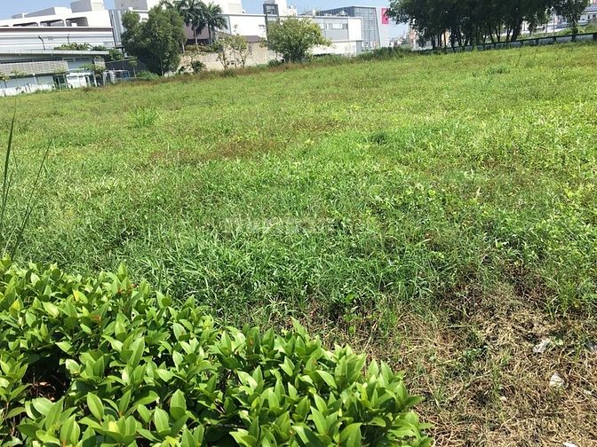 Bán đất đường Bún Bà Của, Long An, SHR, thổ cư hết 56112953 Bán đất đường Bún Bà Của, Long An, SHR, thổ cư hết