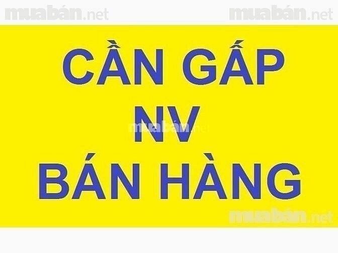 Cần người đứng quầy bán hàng tại chỗ 56110299 Cần người đứng quầy bán hàng tại chỗ