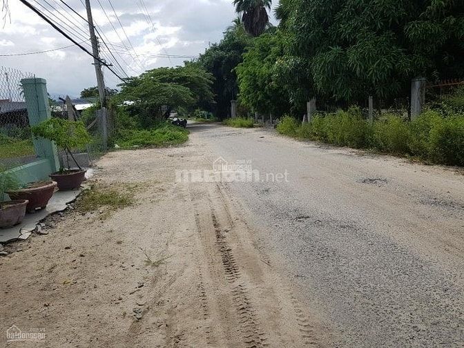 Bán đất tại Đường Lê Lai - Huyện Cam Lâm - Khánh Hòa 56113086 Bán đất tại Đường Lê Lai - Huyện Cam Lâm - Khánh Hòa