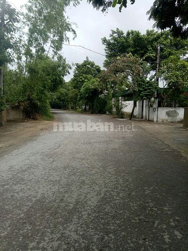 Bán đất mặt đường Trần Trùng Quang , Hưng Lộc , Tp Vinh. 56117403 Bán đất mặt đường Trần Trùng Quang , Hưng Lộc , Tp Vinh.