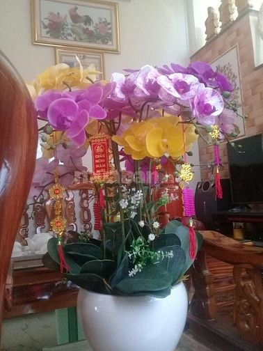 Cho thuê phòng trọ công nhân, sinh viên chợ Điều long bình Biên Hòa 56111681 Cho thuê phòng trọ công nhân, sinh viên chợ Điều long bình Biên Hòa