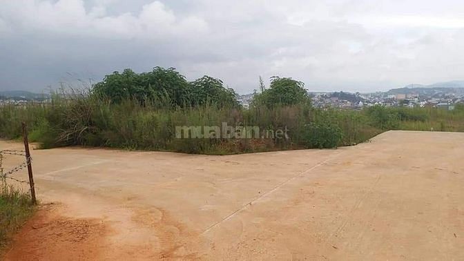 Bán lô đất xây dựng đường Ngô Quyền - Phường 6 - TP Đà Lạt 56144882 Bán lô đất xây dựng đường Ngô Quyền - Phường 6 - TP Đà Lạt