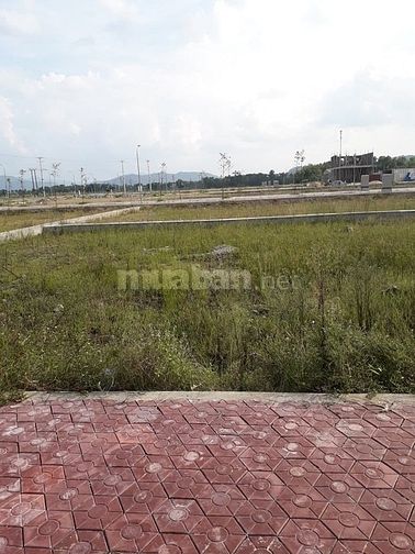 Bán lô đất đẹp khu đấu giá Đông Thọ, phường Hưng Dũng 56179880 Bán lô đất đẹp khu đấu giá Đông Thọ, phường Hưng Dũng