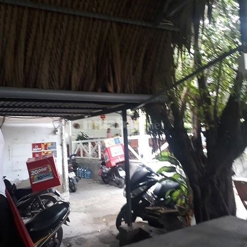 Nền đất thổ cư 7m dài 18m Bình Khánh 56183232 Nền đất thổ cư 7m dài 18m Bình Khánh