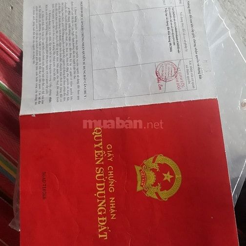 Cần bán lô đất vườn 10m dài 32m xã Bình Khánh 56183635 Cần bán lô đất vườn 10m dài 32m xã Bình Khánh