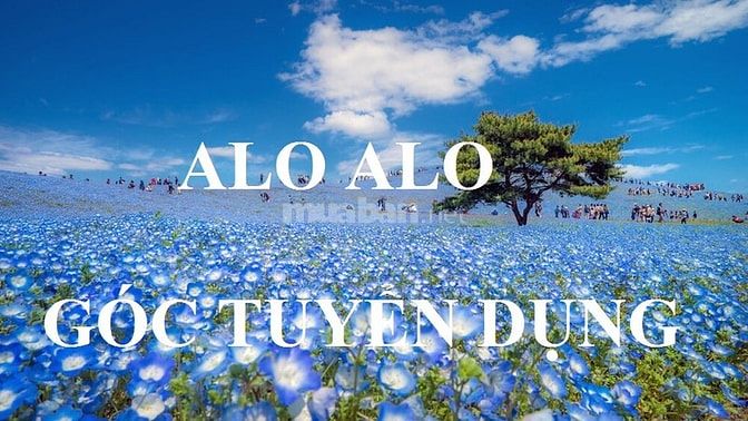 Tuyển 5 nhân viên kinh doanh bán sơn nước, gấp gấp 56189896 Tuyển 5 nhân viên kinh doanh bán sơn nước, gấp gấp