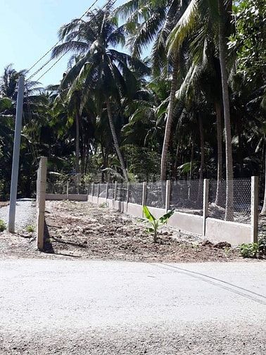 Cần bán lô đất nền thổ cư tại Xã Hòa Định, Huyện Chợ Gạo, Tiền Giang 56195628 Cần bán lô đất nền thổ cư tại Xã Hòa Định, Huyện Chợ Gạo, Tiền Giang