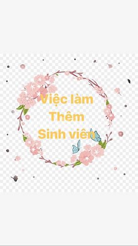 Việc làm Thành phố Hồ Chí Minh 56245980 Việc làm Thành phố Hồ Chí Minh